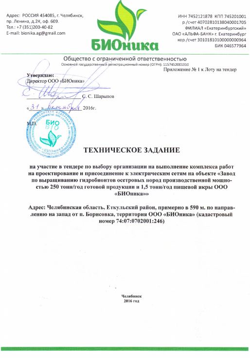 TZ elseti